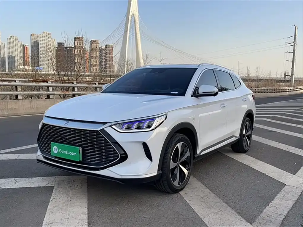 BYD PLUS New Energy 2023 из CN, фото 2
