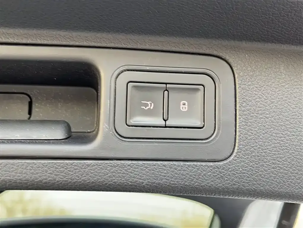 BYD PLUS New Energy 2023 из CN, фото 6