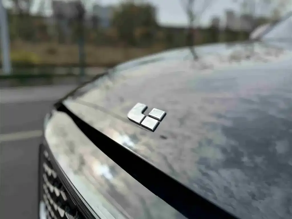 Li Auto ONE 2022 из CN, фото 7