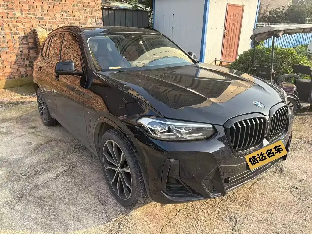 BMW X3 2023 из CN, фото 6