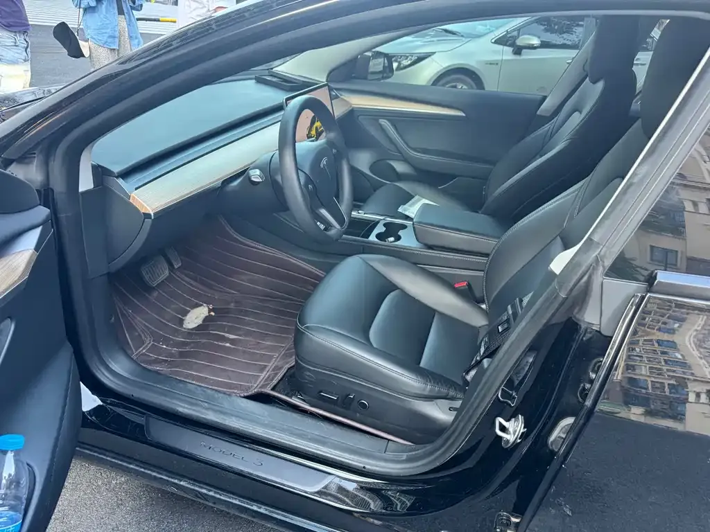 Tesla Model 3 2023 из CN, фото 2