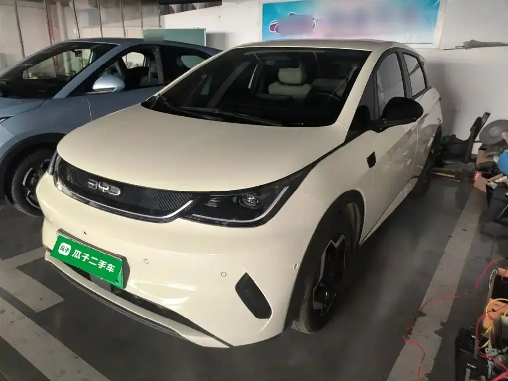 BYD Dolphin 2025 из CN, фото 1