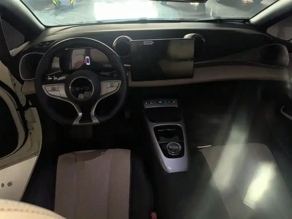 BYD Dolphin 2025 из CN, фото 10
