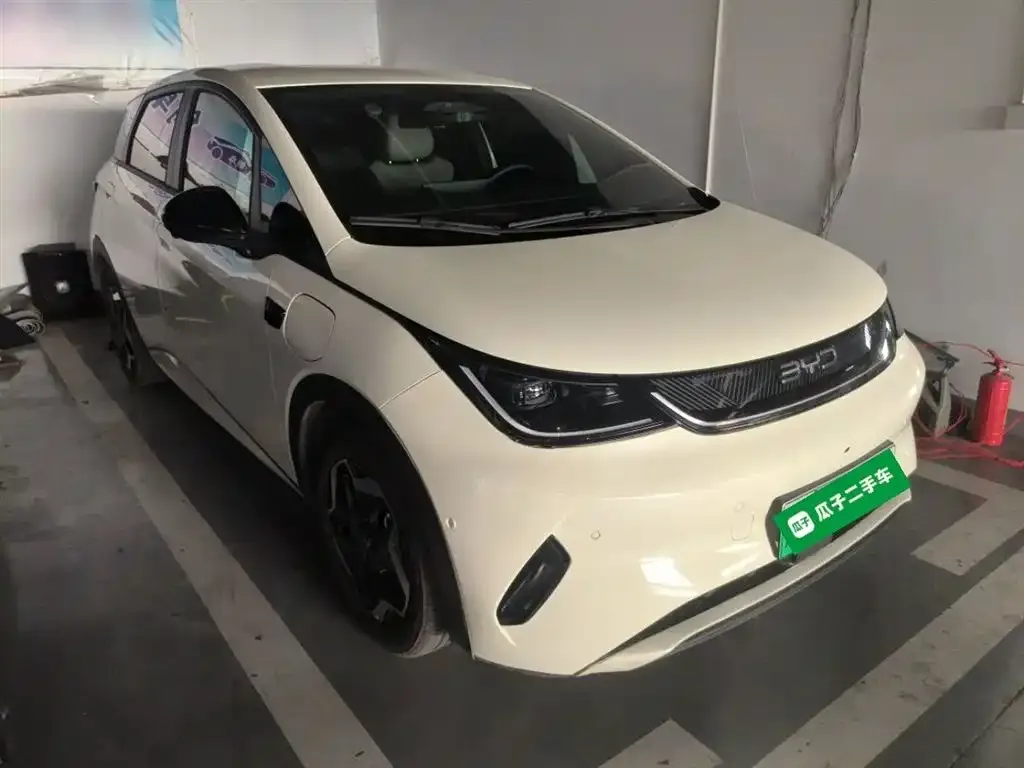 BYD Dolphin 2025 из CN, фото 4