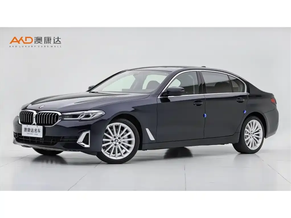 BMW 5 Series 2021 из CN, фото 1