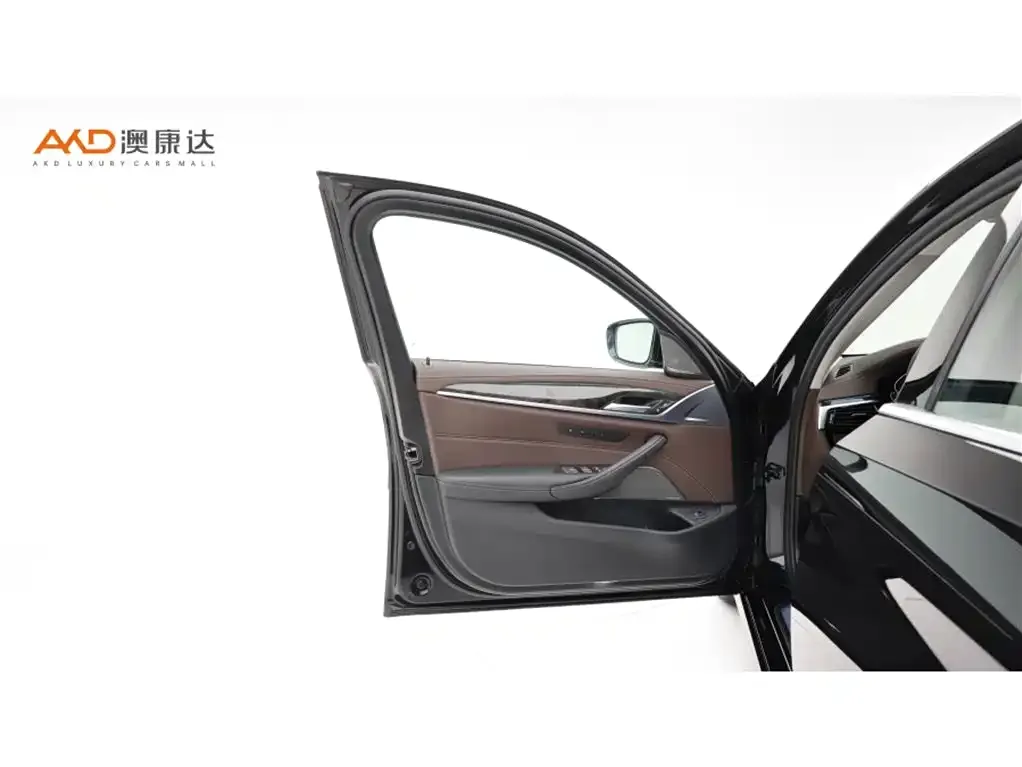 BMW 5 Series 2021 из CN, фото 10