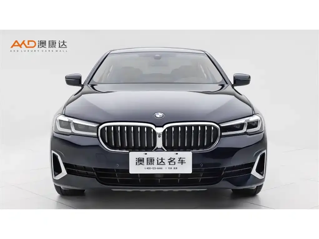 BMW 5 Series 2021 из CN, фото 2