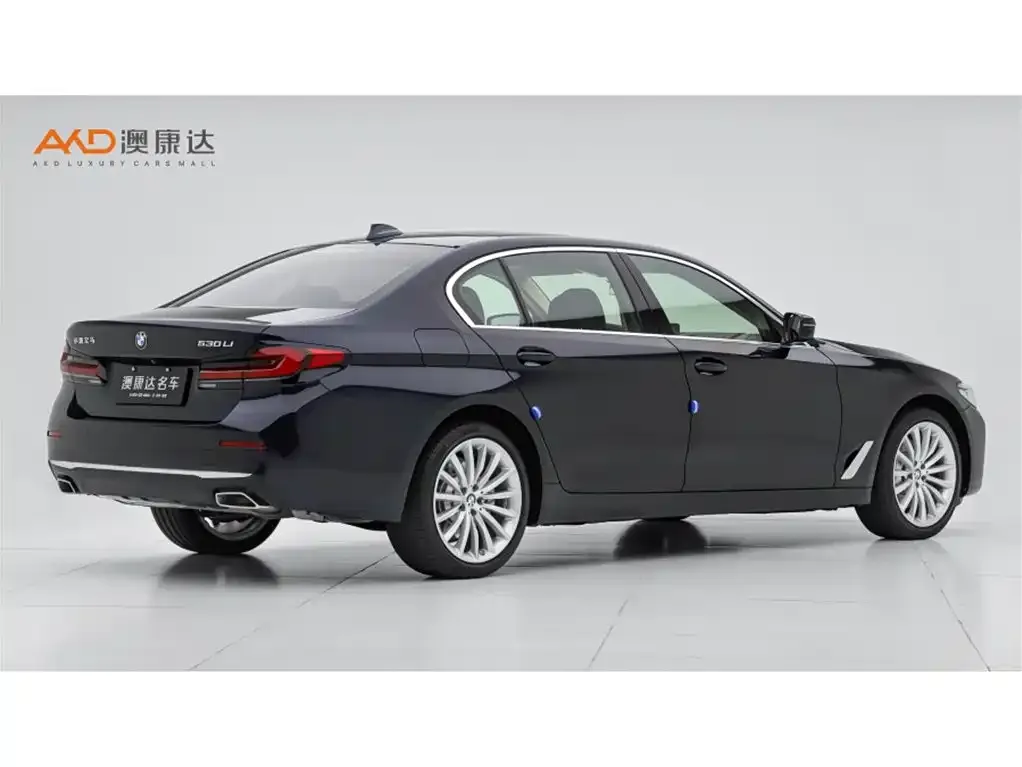 BMW 5 Series 2021 из CN, фото 3