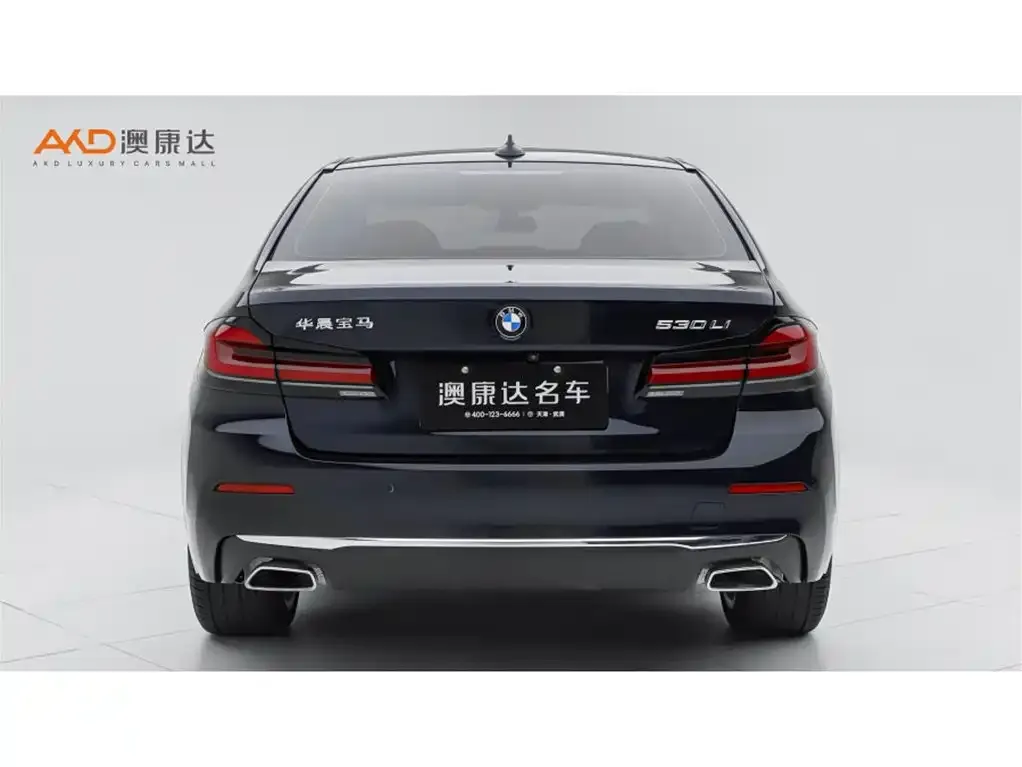 BMW 5 Series 2021 из CN, фото 4