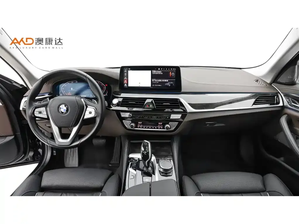 BMW 5 Series 2021 из CN, фото 5