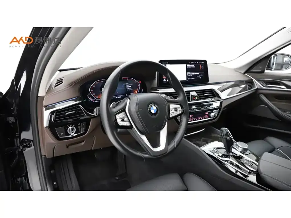 BMW 5 Series 2021 из CN, фото 6