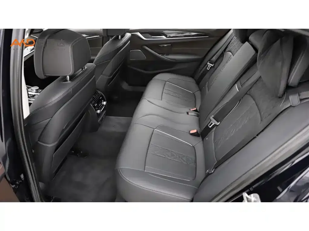BMW 5 Series 2021 из CN, фото 7