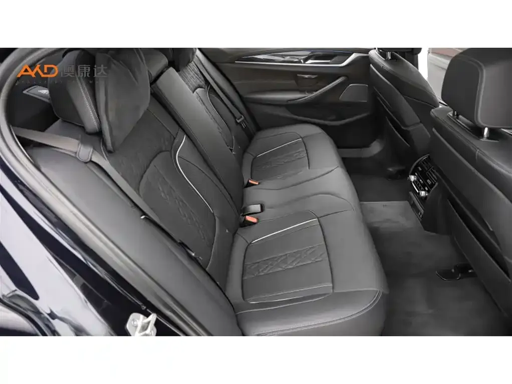 BMW 5 Series 2021 из CN, фото 8