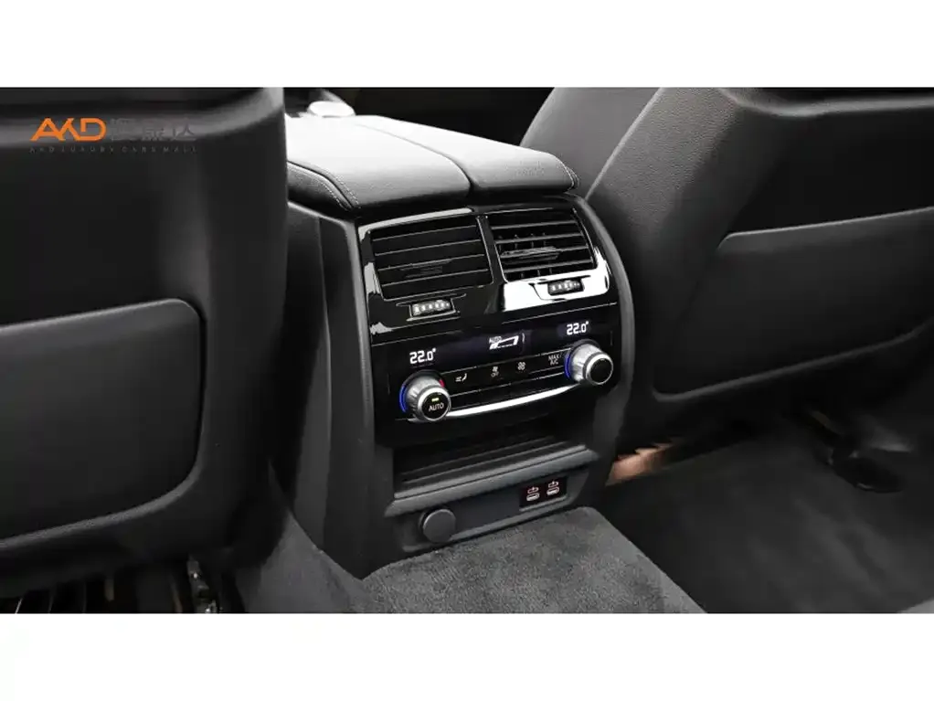 BMW 5 Series 2021 из CN, фото 9