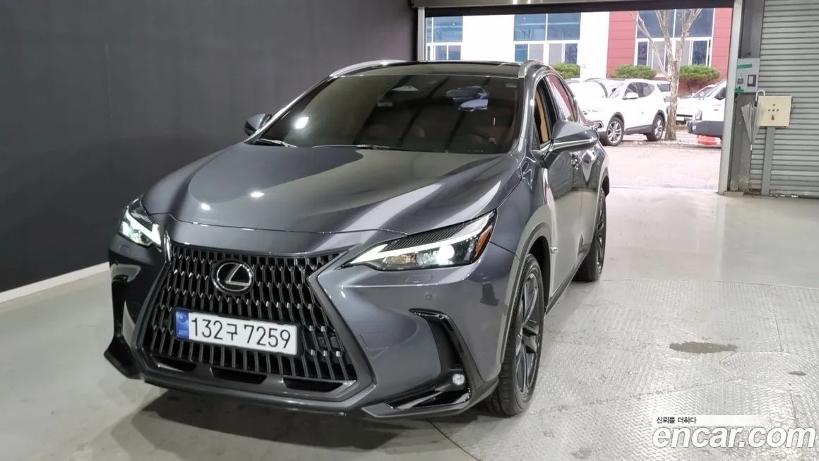 Lexus NX 2024 из KR, фото 2