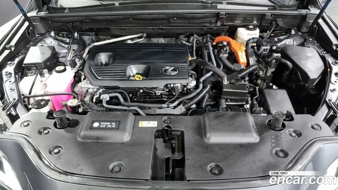 Lexus NX 2024 из KR, фото 6