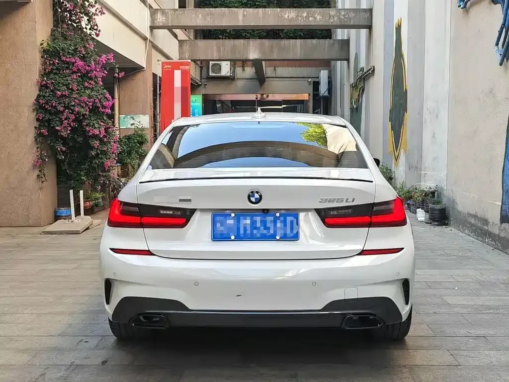BMW 3 Series 2021 из CN, фото 8