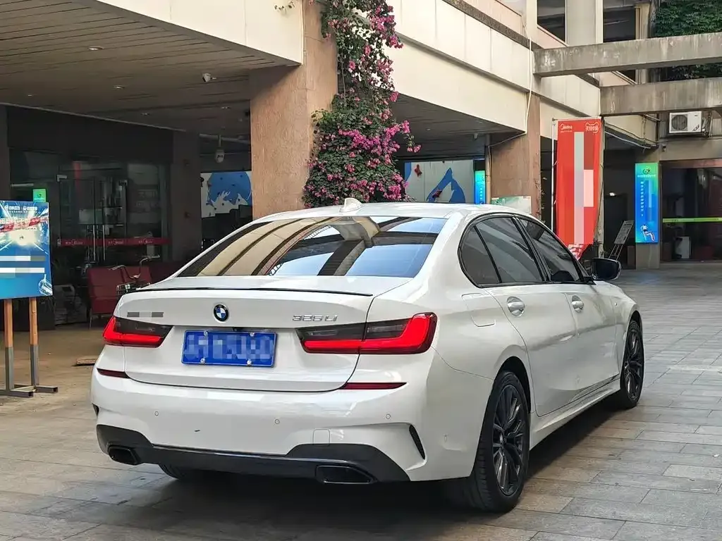 BMW 3 Series 2021 из CN, фото 9