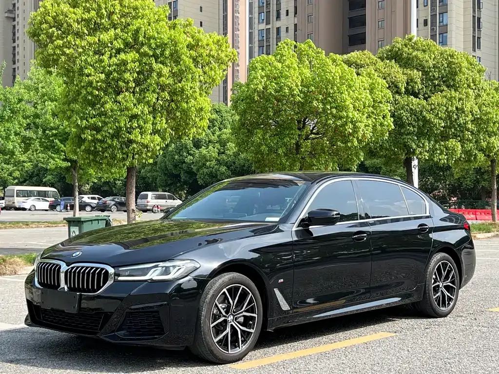 BMW 5 Series 2023 из CN, фото 1
