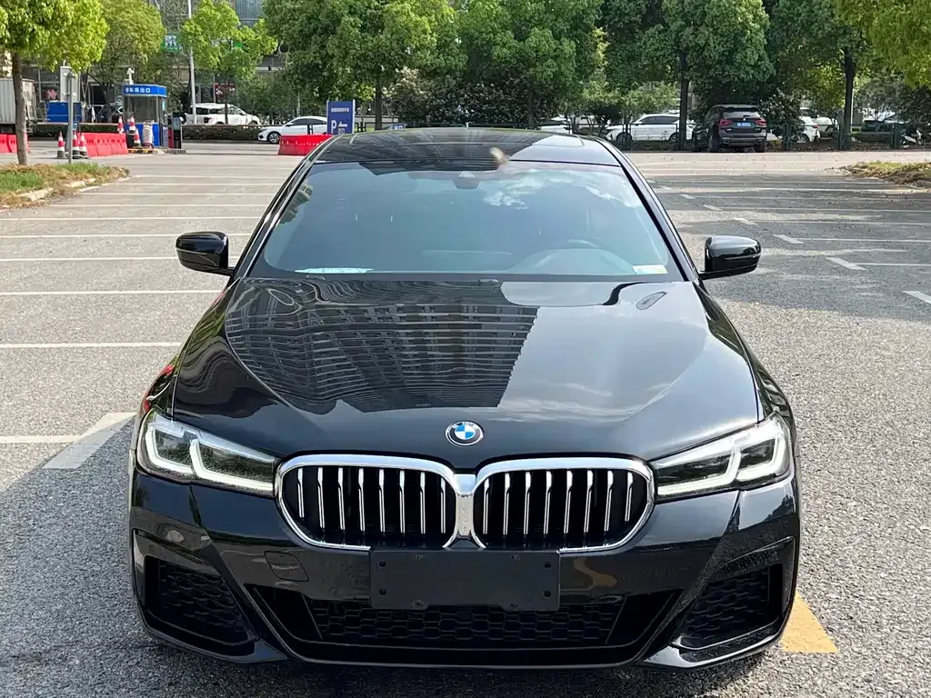 BMW 5 Series 2023 из CN, фото 2