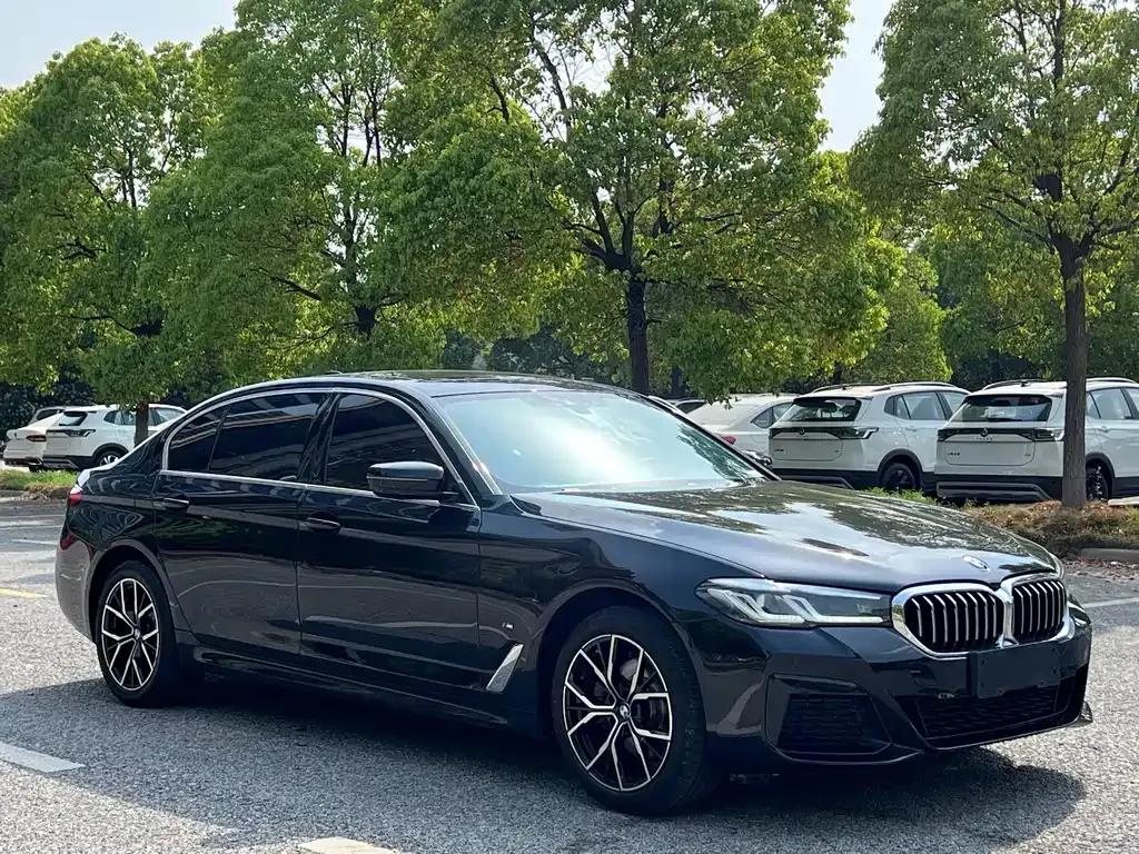 BMW 5 Series 2023 из CN, фото 3