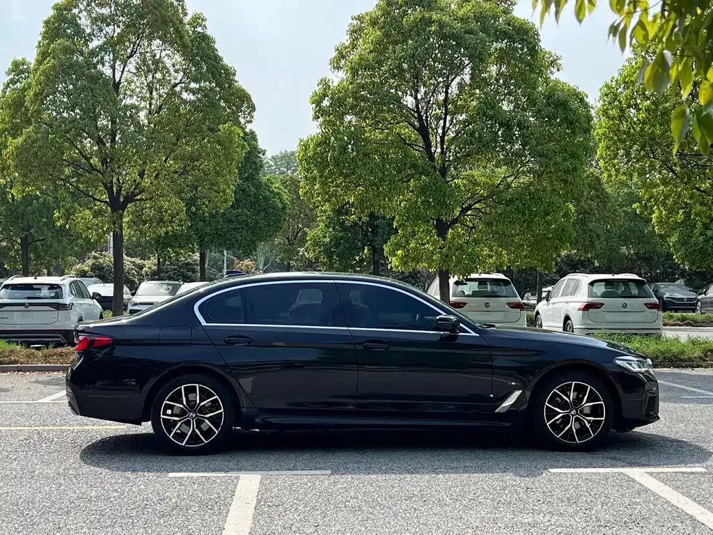 BMW 5 Series 2023 из CN, фото 4