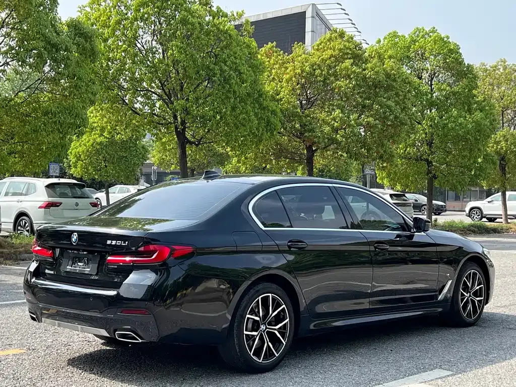 BMW 5 Series 2023 из CN, фото 5