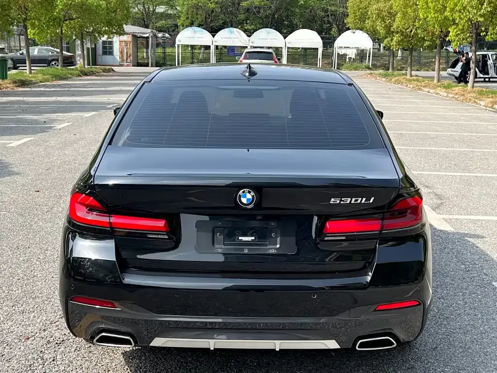 BMW 5 Series 2023 из CN, фото 6