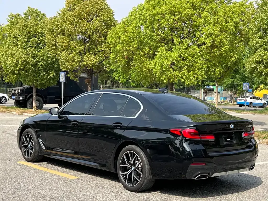 BMW 5 Series 2023 из CN, фото 7