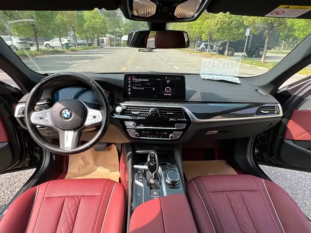 BMW 5 Series 2023 из CN, фото 9