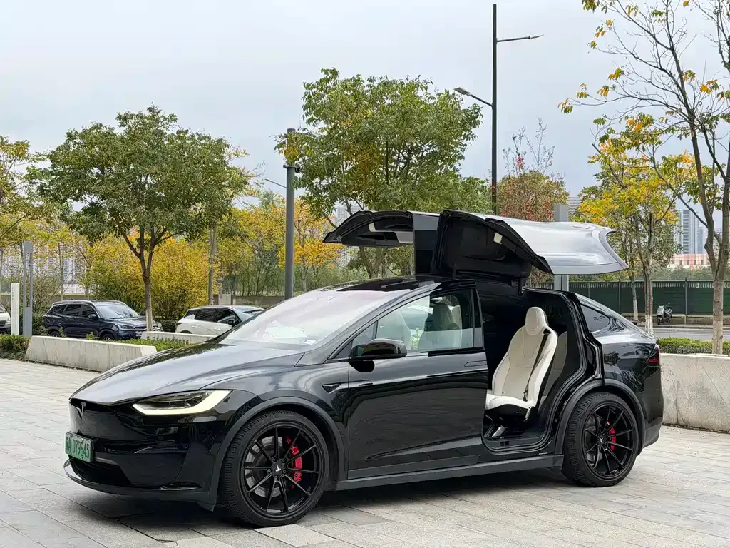 Tesla Model X 2023 из CN, фото 1