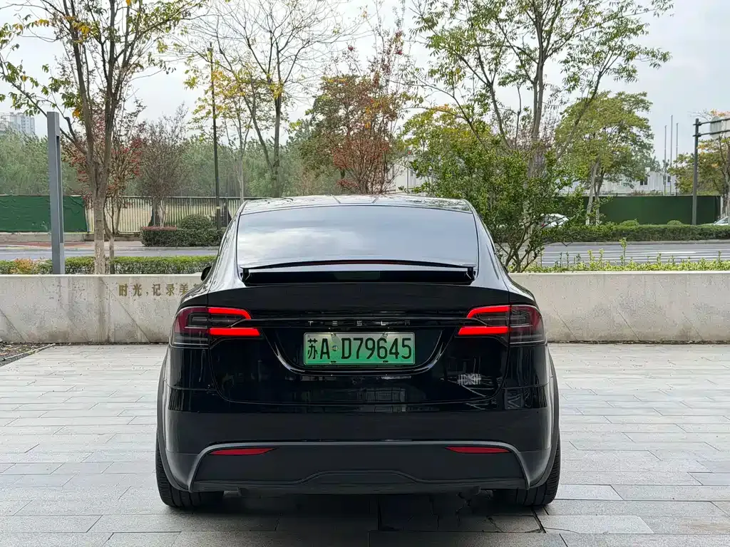 Tesla Model X 2023 из CN, фото 10