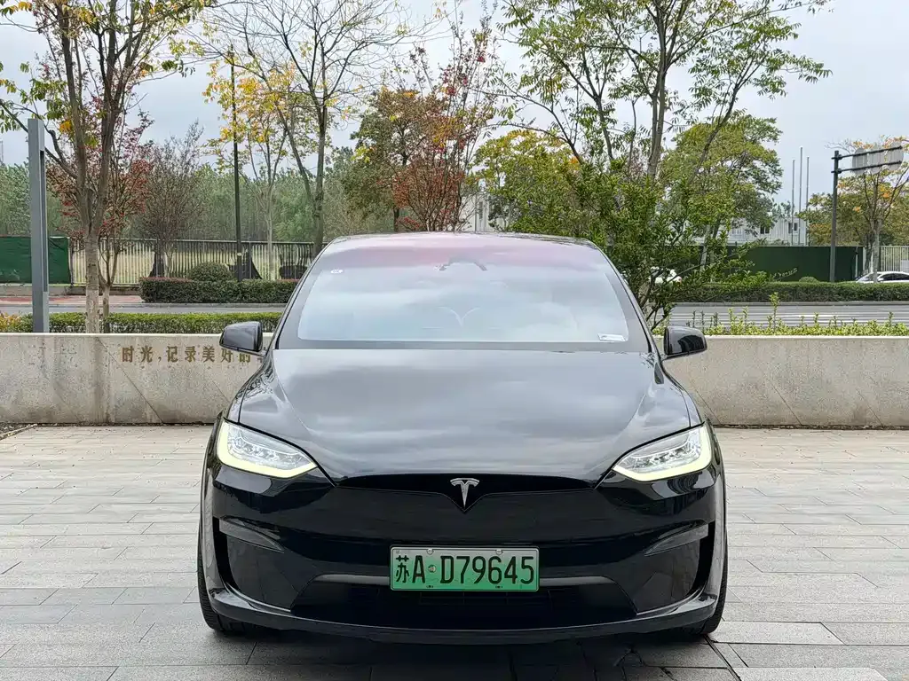 Tesla Model X 2023 из CN, фото 2