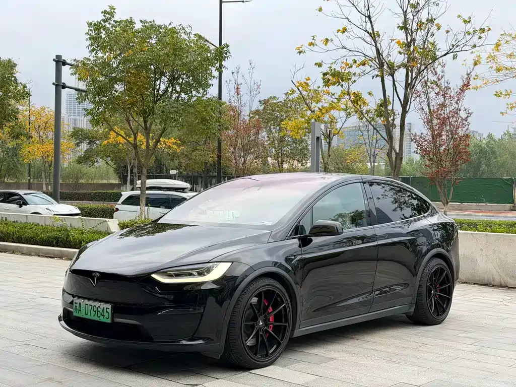 Tesla Model X 2023 из CN, фото 3