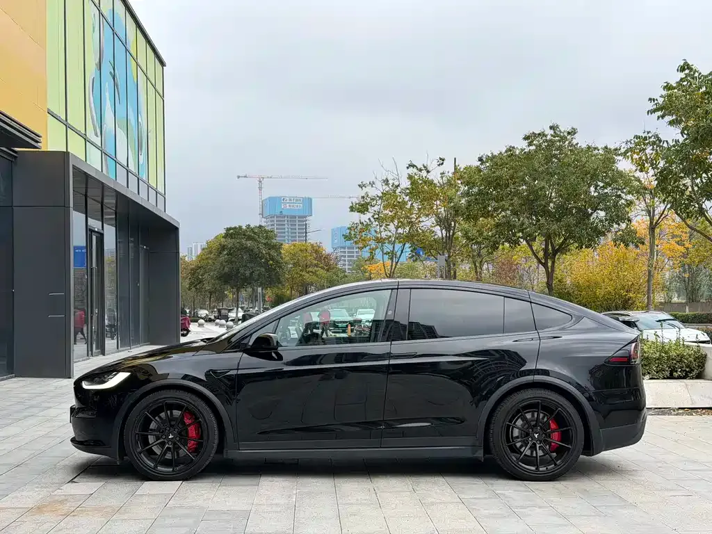 Tesla Model X 2023 из CN, фото 4