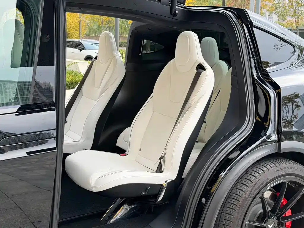 Tesla Model X 2023 из CN, фото 5