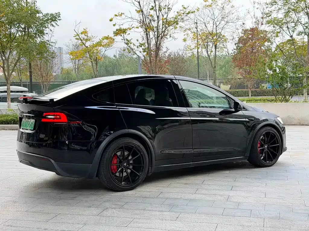 Tesla Model X 2023 из CN, фото 9