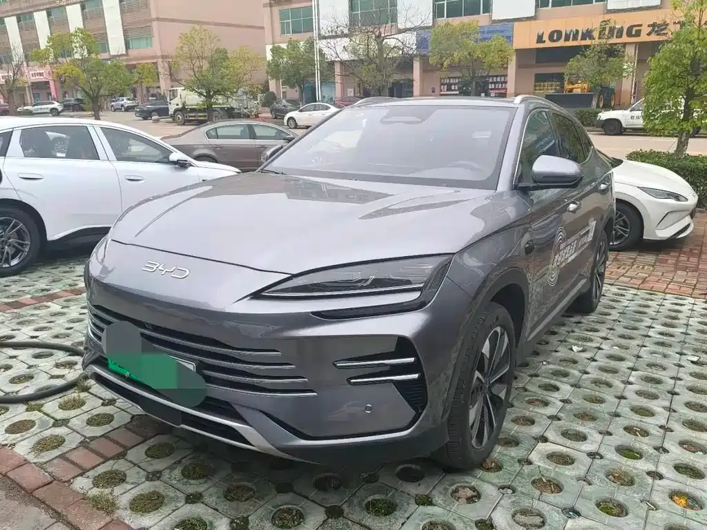 BYD PLUS New Energy — фото 1