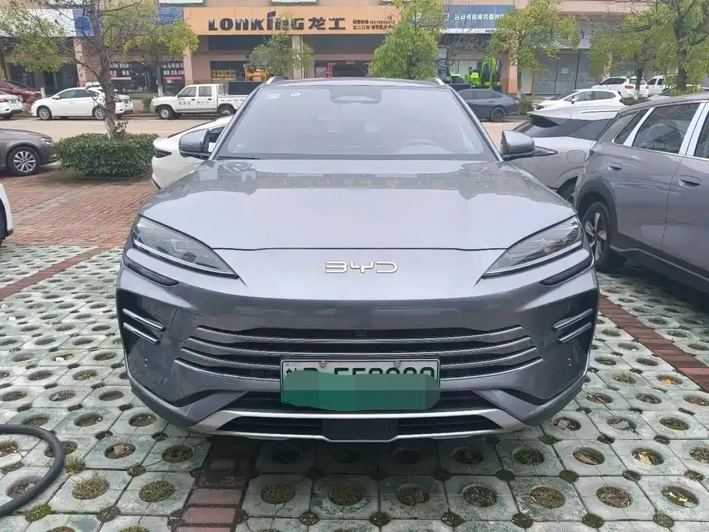 BYD PLUS New Energy — фото 2
