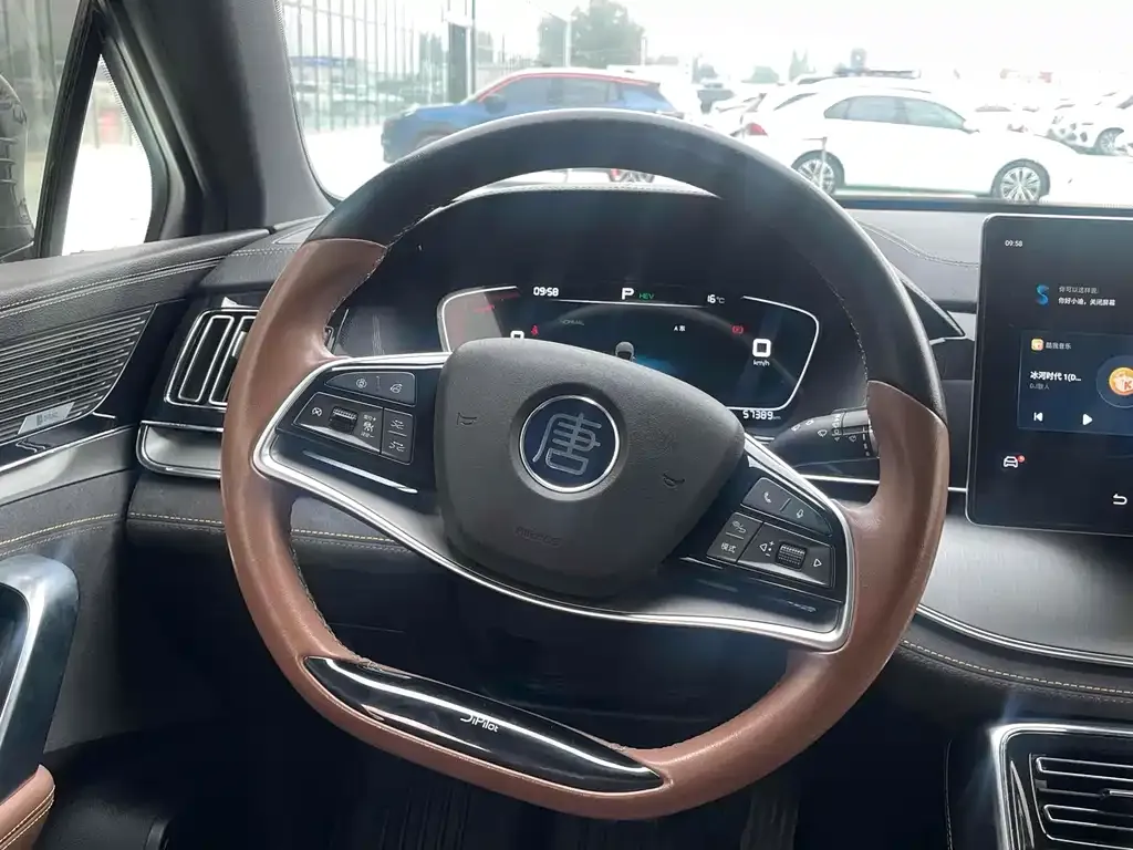 BYD Tang New Energy 2023 из CN, фото 10