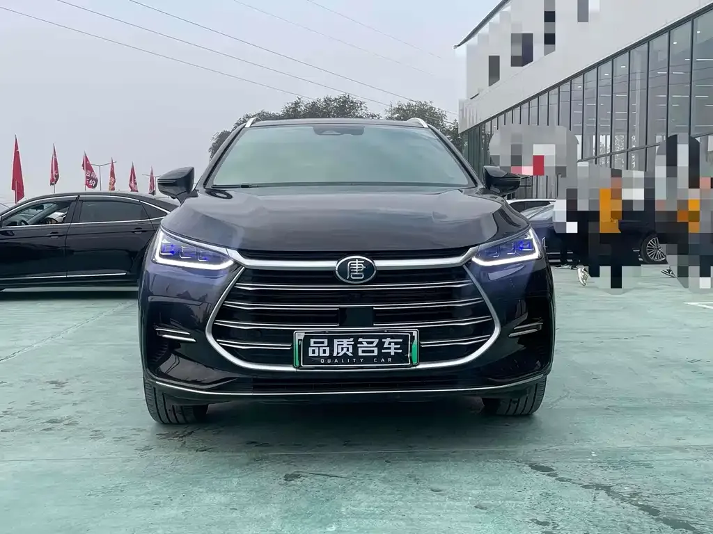 BYD Tang New Energy 2023 из CN, фото 2