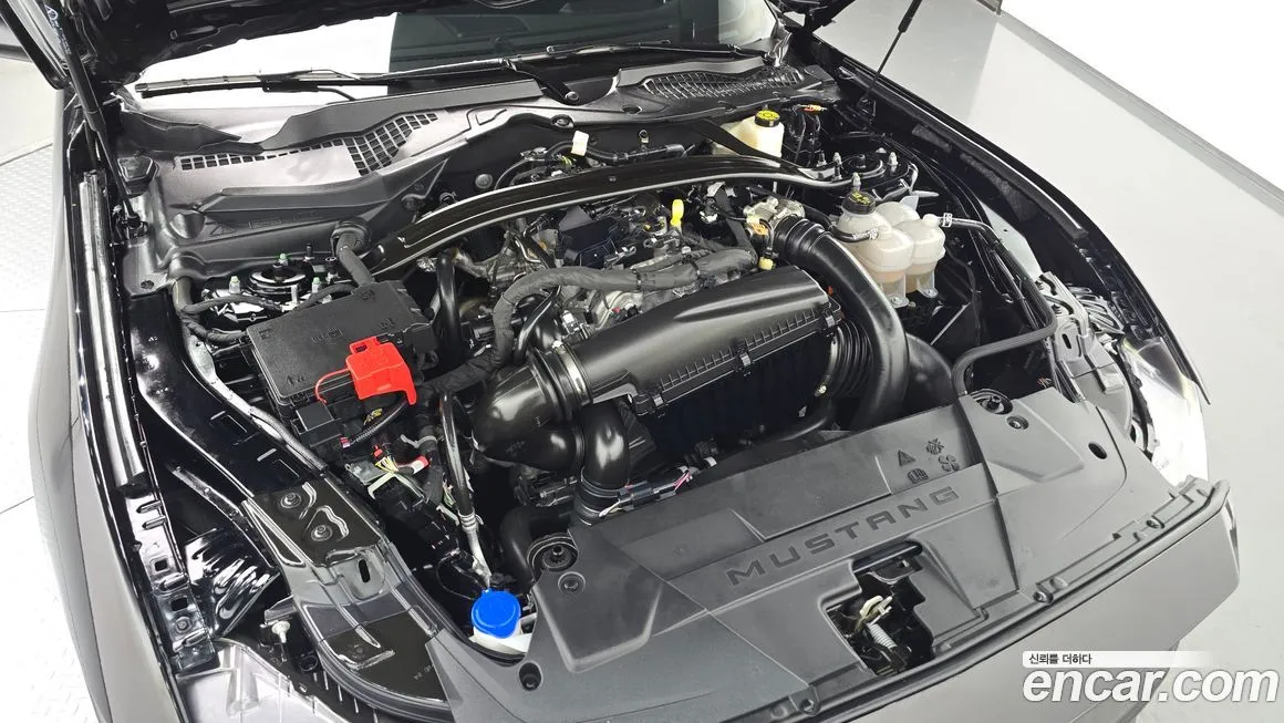 Ford Mustang 2024 из KR, фото 6