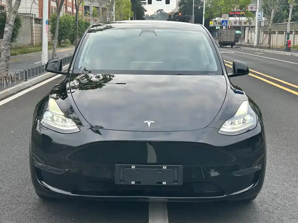 Tesla Model Y 2022 из CN, фото 2