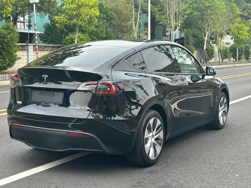 Tesla Model Y 2022 из CN, фото 9