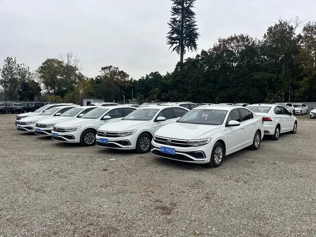 Volkswagen Bora 2024 из CN, фото 9