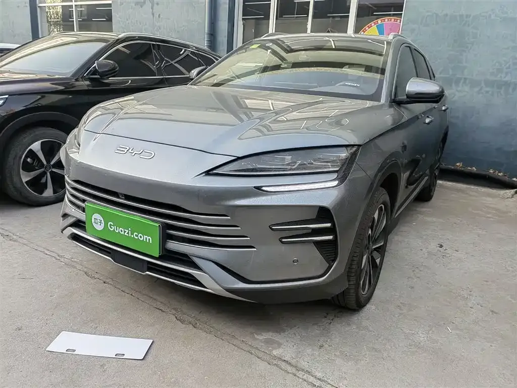 BYD PLUS New Energy 2025 из CN, фото 2