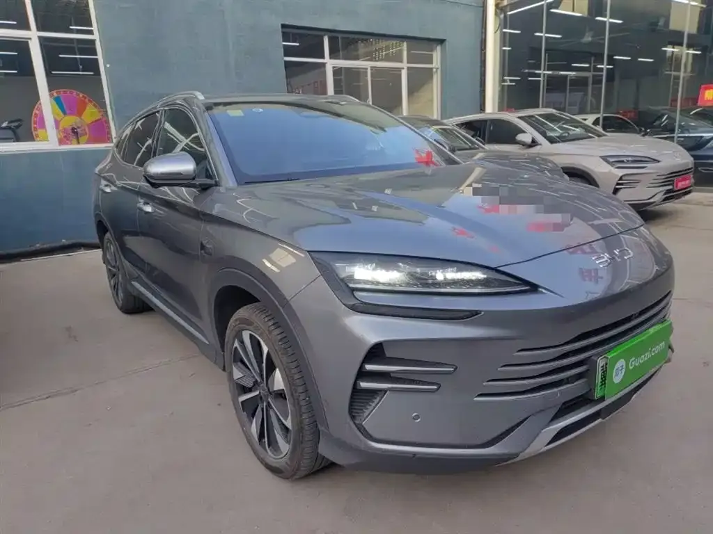 BYD PLUS New Energy 2025 из CN, фото 4