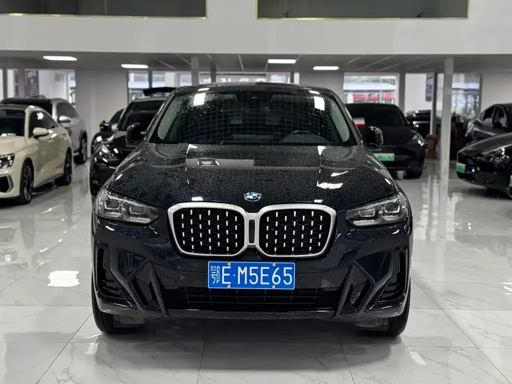 BMW X4 2023 из CN, фото 2