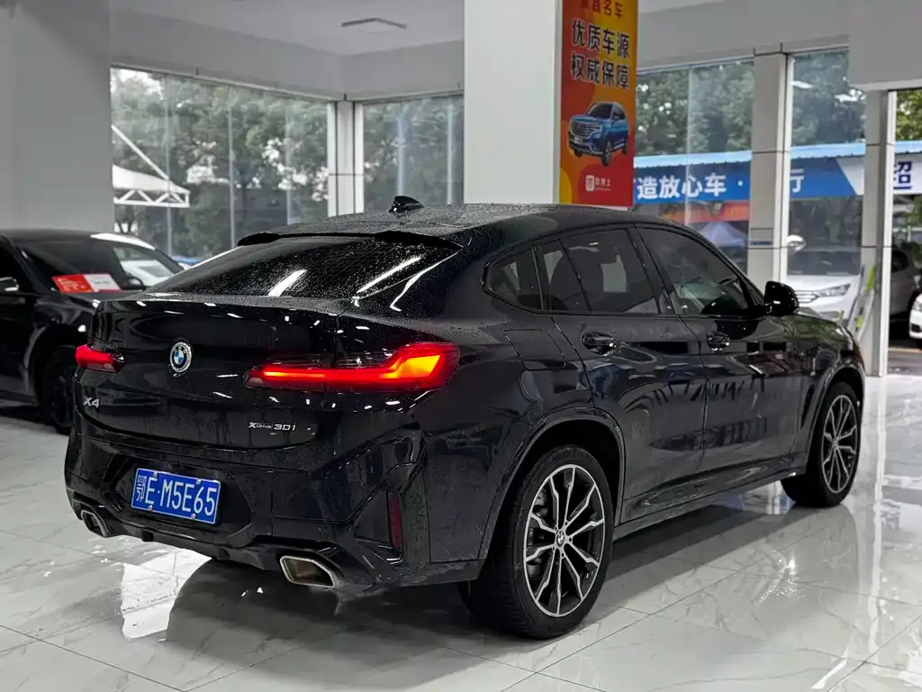 BMW X4 2023 из CN, фото 4