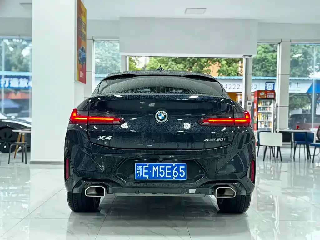 BMW X4 2023 из CN, фото 5